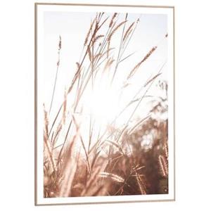 Leen Bakker Poster met lijst Zonnig Gras - 70x50 cm
