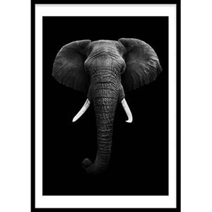 Wallified  Elephant (29,7x42cm)