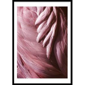 Wallified  Flamingo Feathers (29,7x42cm)