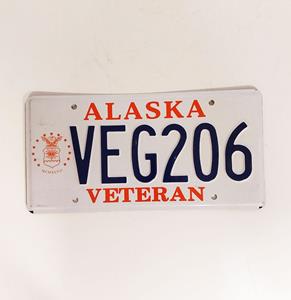 Fiftiesstore Alaska Originele Amerikaanse Kentekenplaat - Veteran