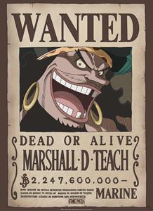 ABYStyle One Piece Wanted Blackbeard Poster 38x52cm