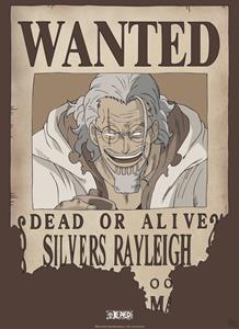 ABYStyle One Piece Wanted Rayleigh Poster 38x52cm