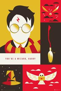 Grupo Erik Poster Harry Potter 100th Anniversary WB 61x91,5cm