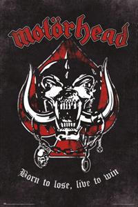 buck Poster motorhead born to lose