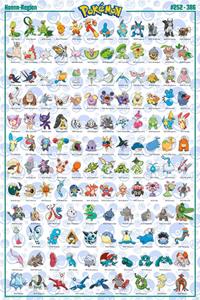 ABYStyle GBeye Pokémon Hoenn French Characters Poster 61x91,5cm