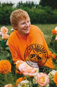 ABYstyle Poster Ed Sheeran Rose Field 61x91,5cm