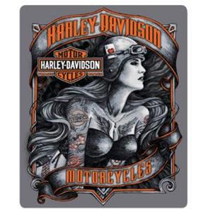 Fiftiesstore Harley-Davidson Biker Babe Harten Aas Metalen Bord Met Reliëf
