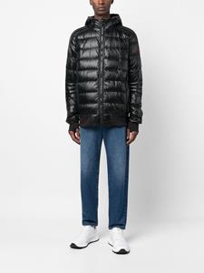 Canada Goose Gewatteerd jack - Zwart