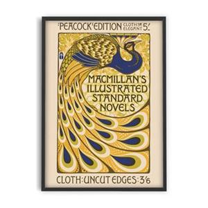 PSTR studio  Peacock - Macmillan's Novels
