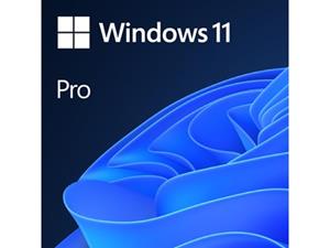 Microsoft Windows 11 Pro - 1 apparaat - Nederlands - PC