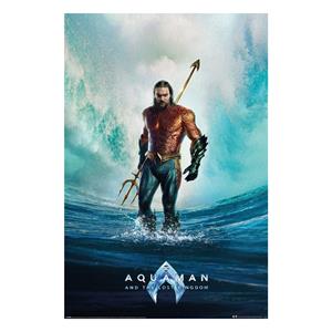 Pyramid International Aquaman and the lost Kingdom Poster Pack Tempest 61 x 91 cm (4)