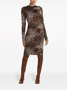 St. John leopard-print round-neck dress - Beige