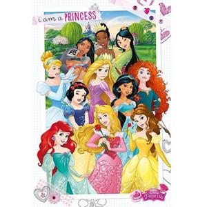 Disney Poster  prinsessen 61 x 91,5 cm -