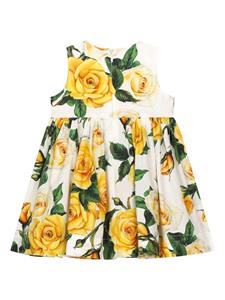 Dolce & Gabbana Kids Katoenen jurk met roosprint - Geel