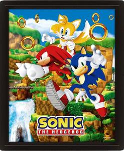 Pyramid International Sonic The Hedgehog 3D Lenticular Poster Catching Rings 26 x 20 cm