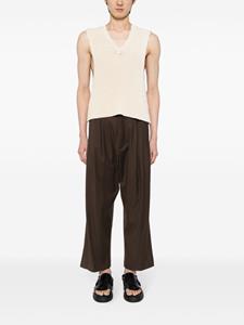 Hed Mayner pleated cropped trousers - Bruin