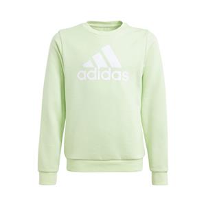 Adidas Big Logo Sweatshirt Meisjes