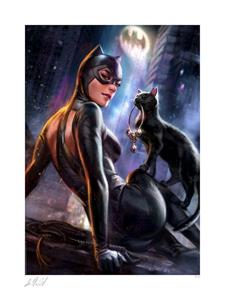 Sideshow Collectibles DC Comics Art Print Catwoman: Girl's Best Friend 41 x 61 cm - unframed