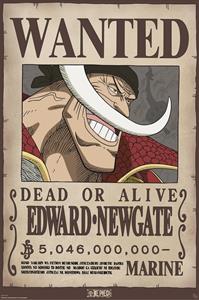 ABYstyle Poster One Piece Wanted Whitebeard 61x91,5cm