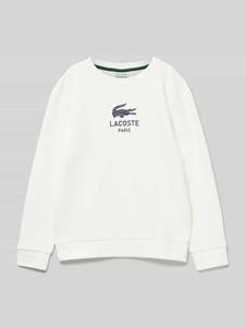 Lacoste Sweatshirt met labelprint