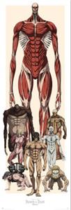 Grupo Erik Poster Attack on Titan 53x158cm