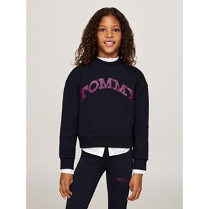 Tommy Hilfiger Sweatshirt