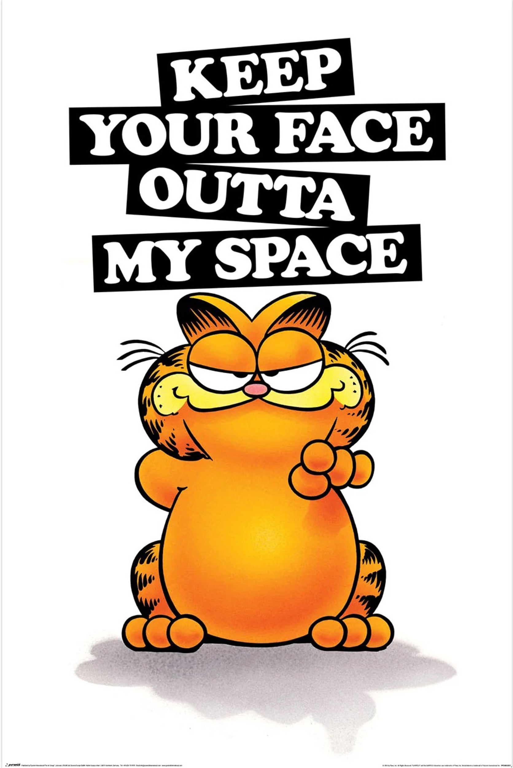 Pyramid Poster Garfield Keep Your Face 61x91,5cm