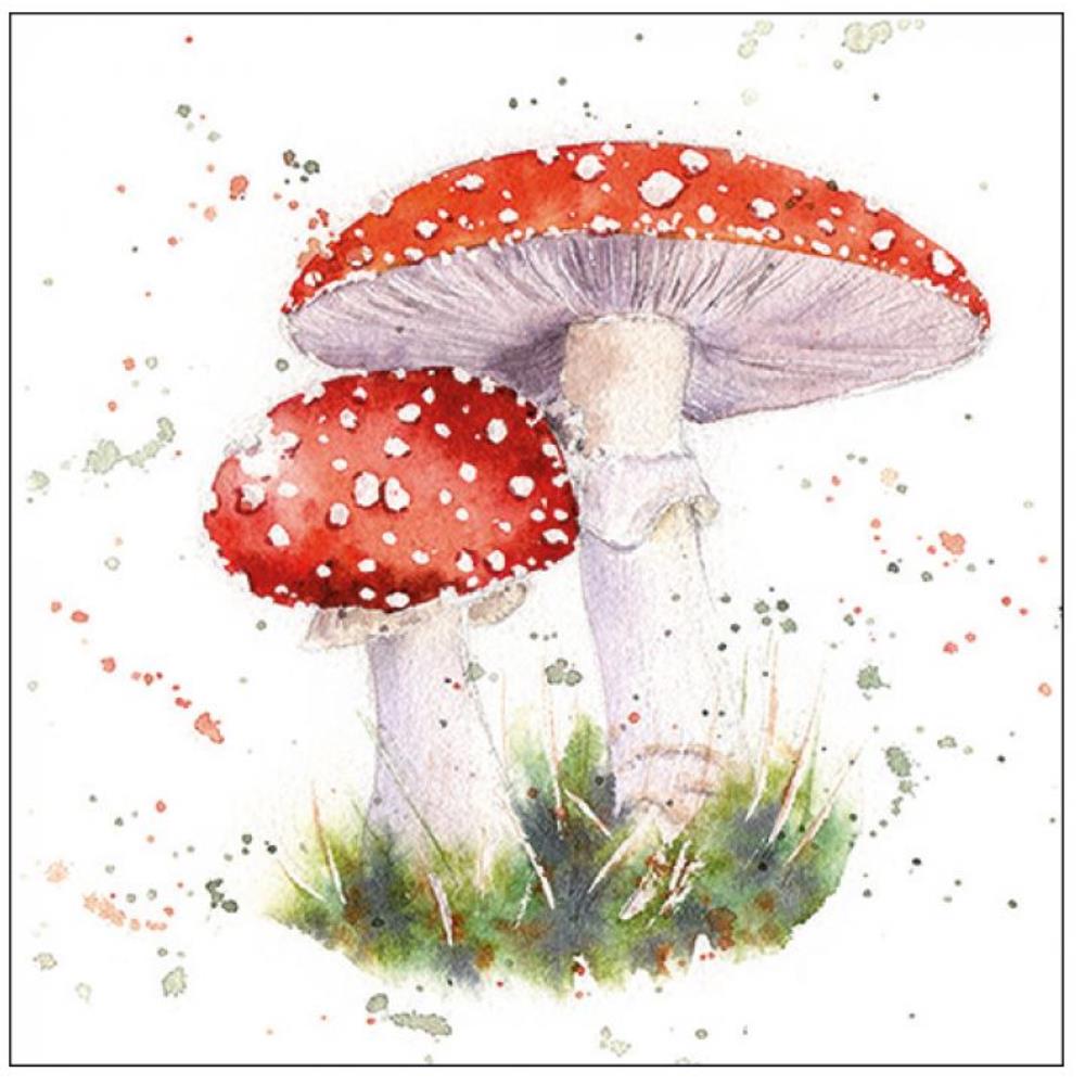 Ambiente Servetten 33cm Painted Fly Agaric FSC Mix