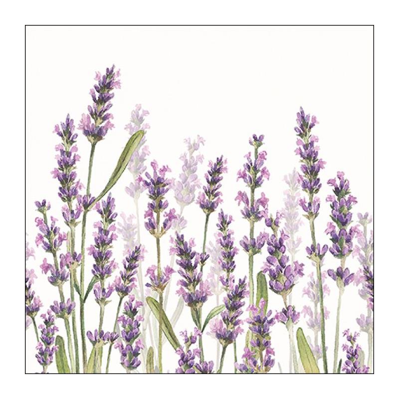 Ambiente Lavender Shades
Waan Je In De Provence...

Lekker Picknicken