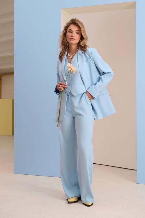 Ydence Pants Solange | Light blue