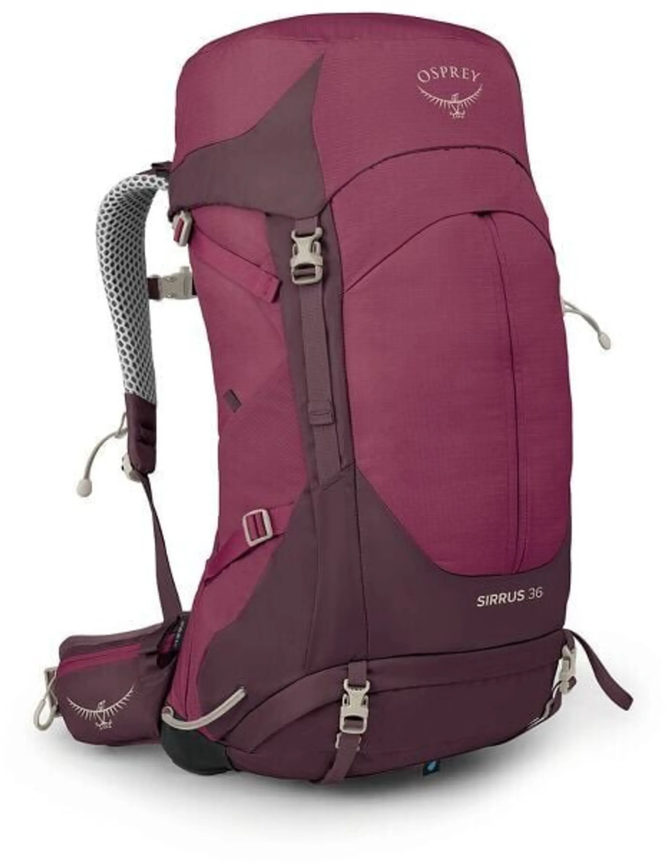 Osprey Sirrus 36L Rugzak Dames (Maat - OS, Kleur - Elderberry Purple/Chiru Tan)