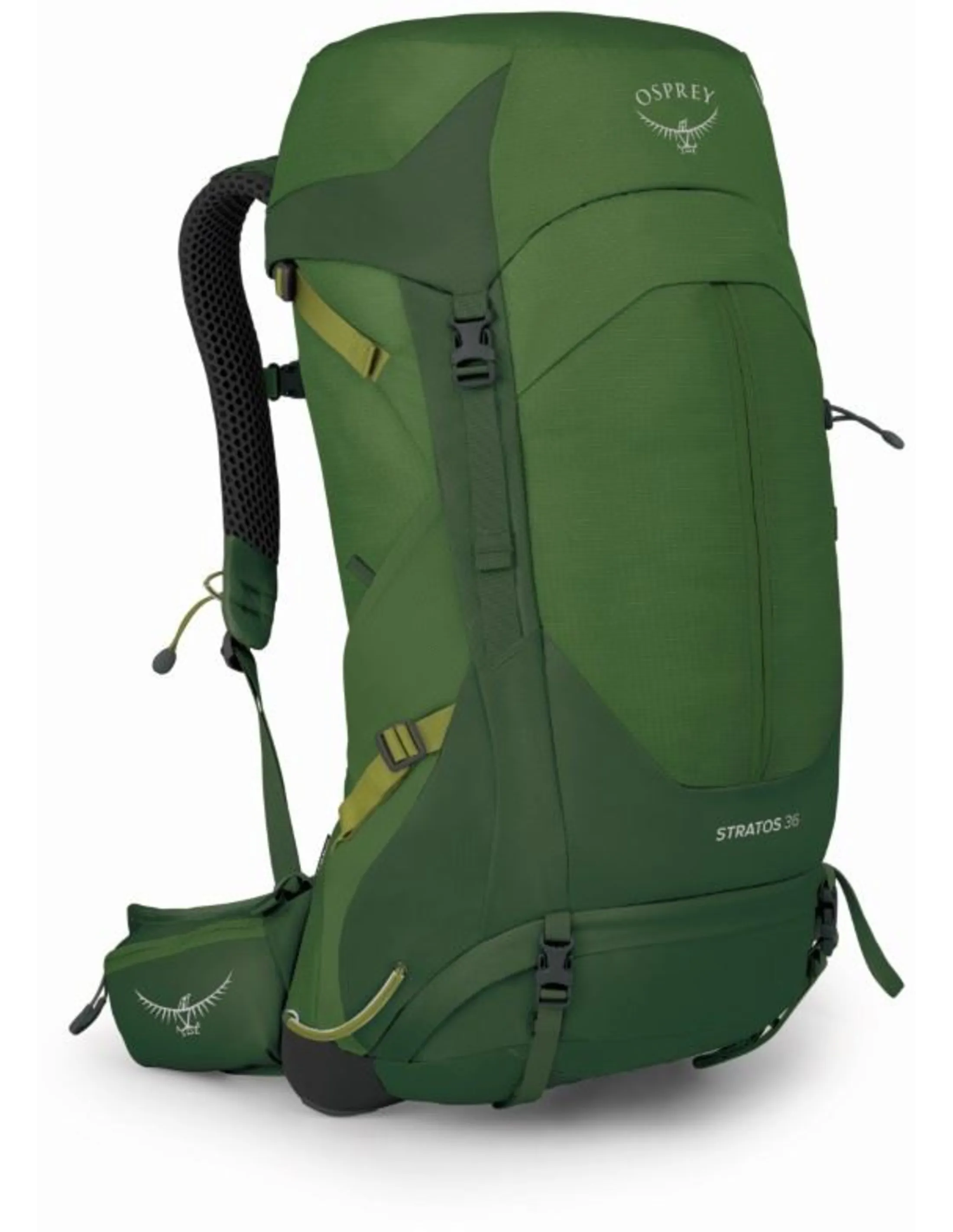 Osprey Stratos 36L Rugzak Heren (Maat - OS, Kleur - Seaweed/Matcha Green)