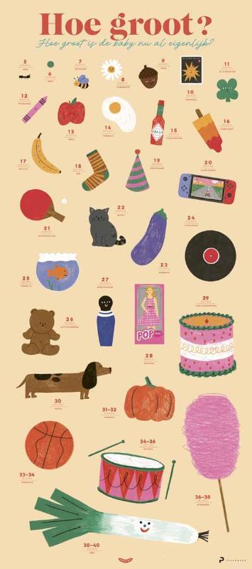 Dieter Coppens, Tom Suykens Poster Babygroeiposter -   (ISBN: 9789463839518)