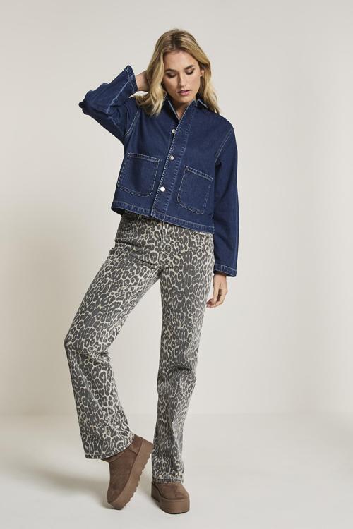 Para Mi Broek FW251.147136