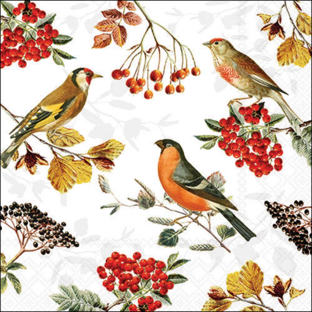 Ambiente Servetten 33cm Autumn birds