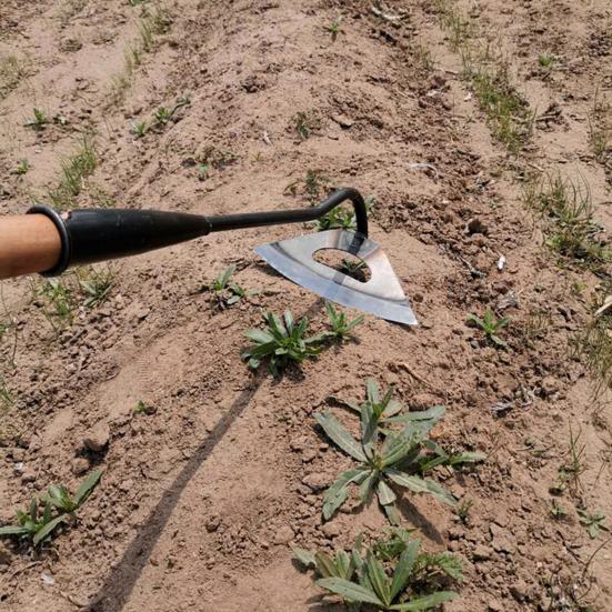 RoManMen Volledig stalen geharde holle schoffel Handheld wiedhark Plantschop Moestuin Tuin Landbouwgereedschap Wiedaccessoires Style 1