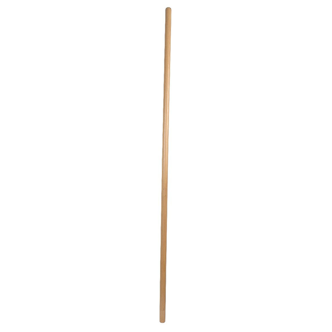 MM Eurotool Steel Voor Vijgenvork Gelakt 2.8x140 Centimeter