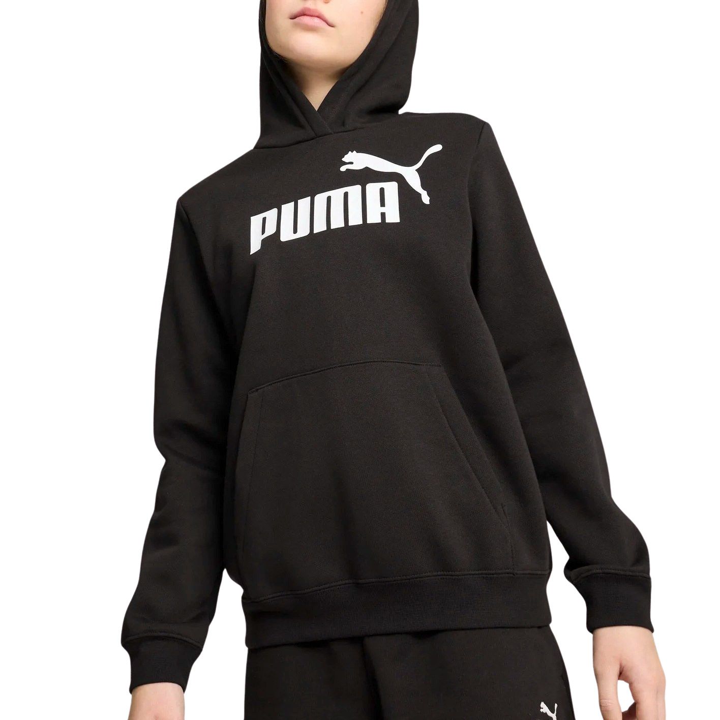 PUMA Hoodie ESS NO. 1 LOGO HOODIE FL G