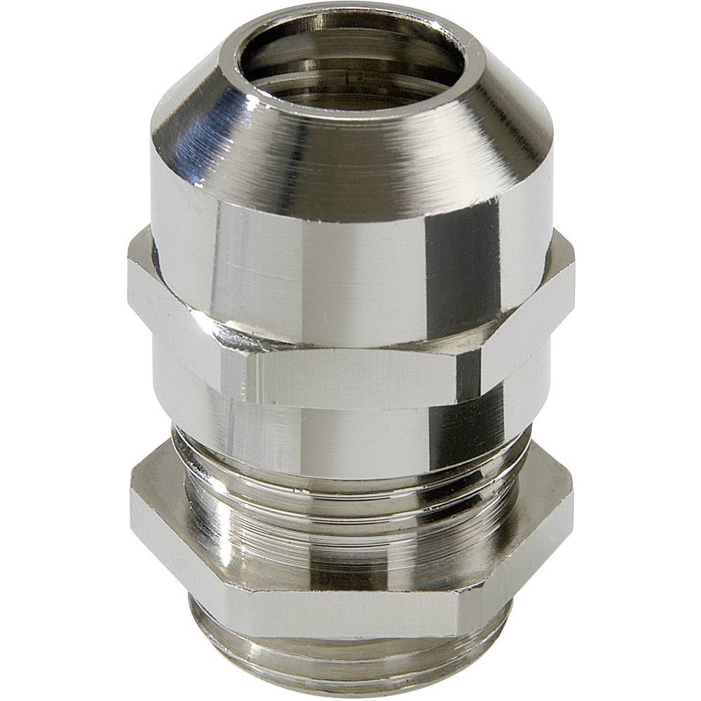 Wiska 10065003 Wartel M25 Messing Messing 50 stuk(s)