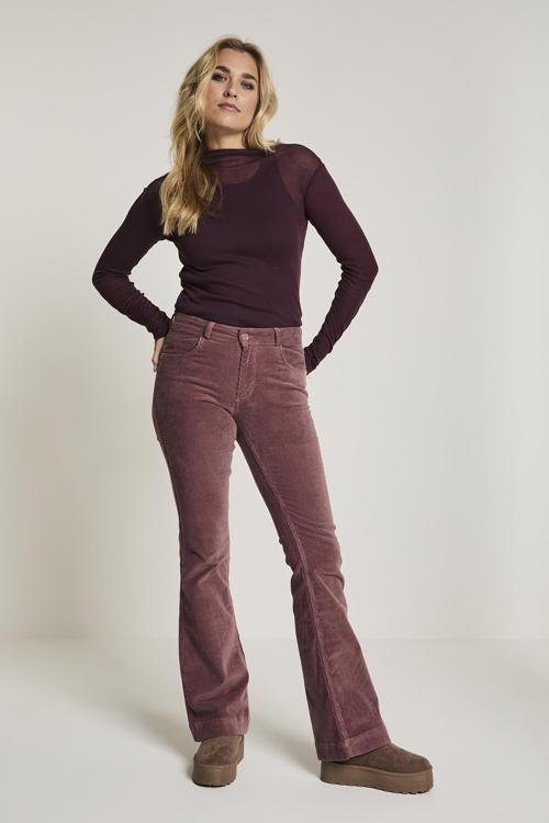 Para Mi Broek FW251.104070
