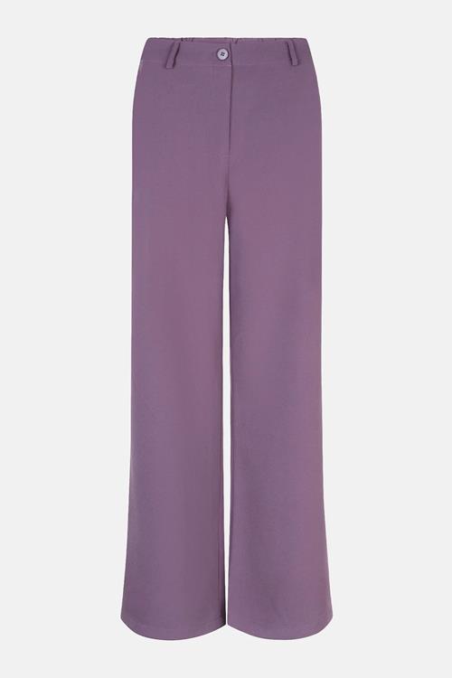 Ydence Pants Solange Tall | Purple