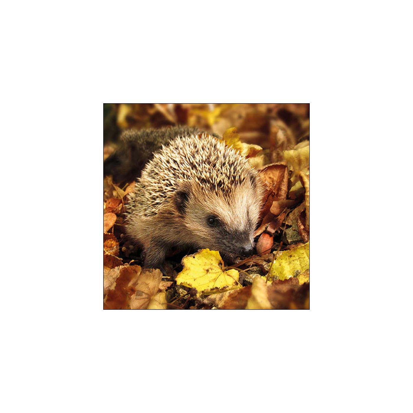 Ambiente Servetten Egel 33cm