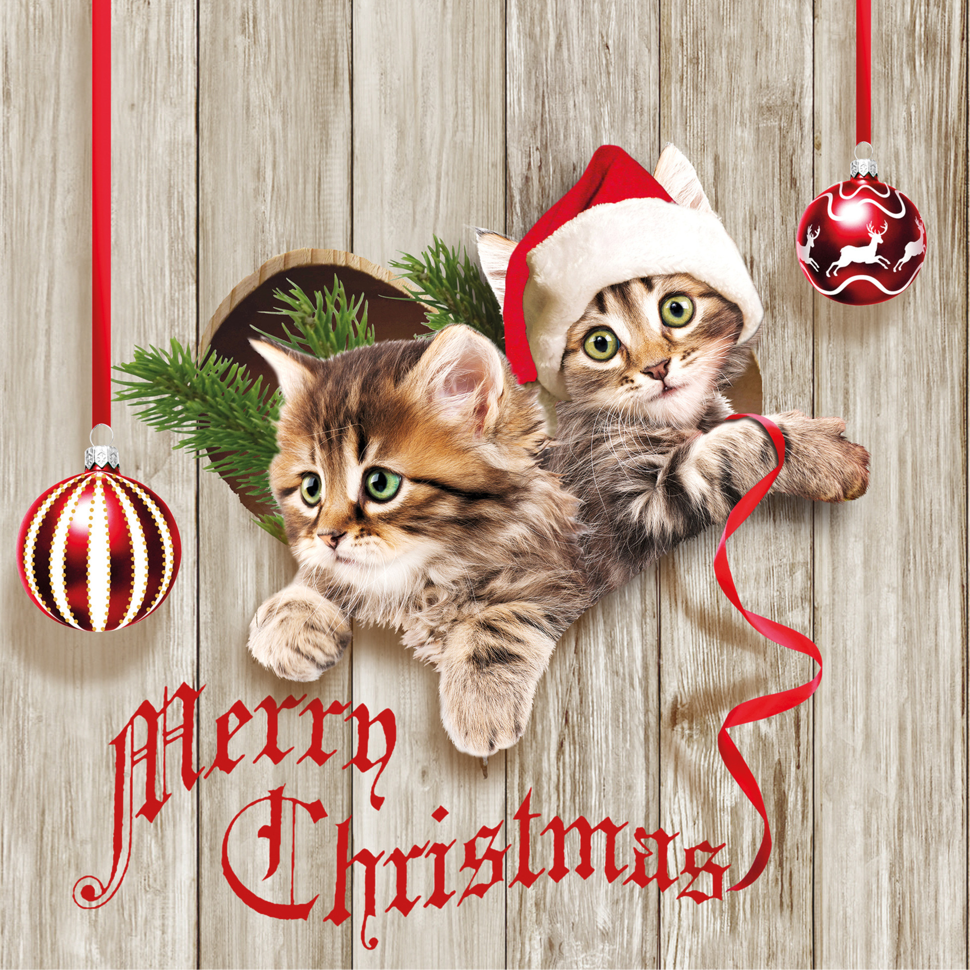 Ambiente Kerst thema servetten - 20x st - 33 x 33 cm - poezen/katten print -