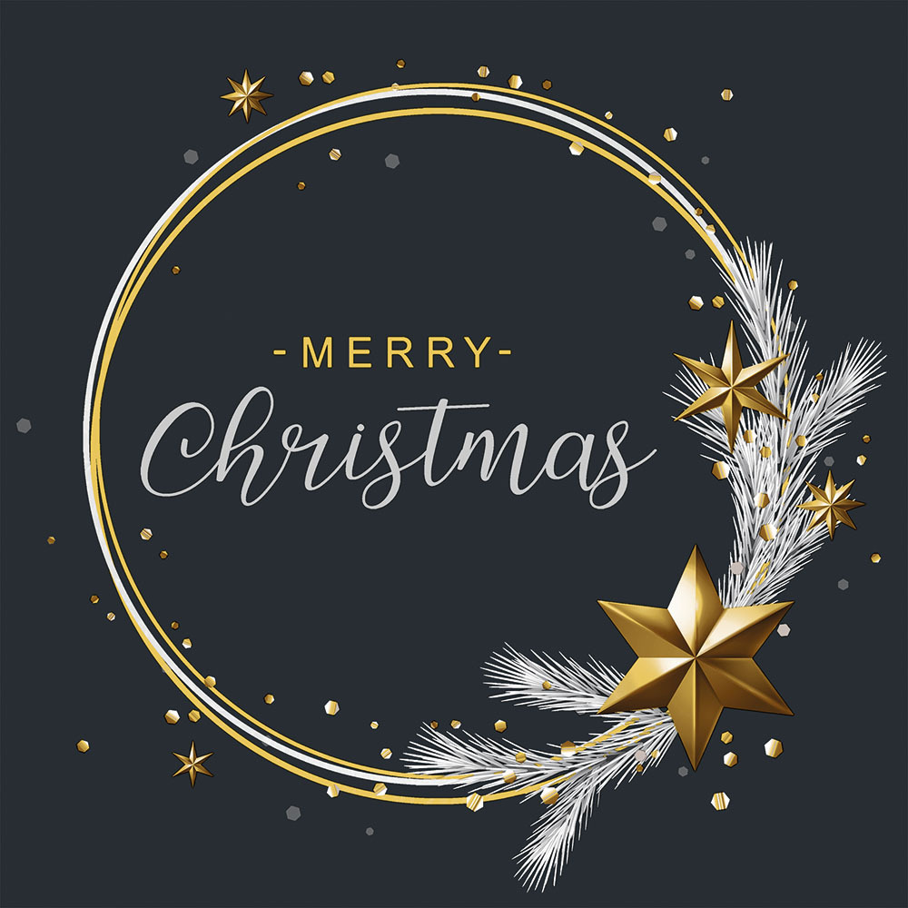 Ambiente Kerst thema servetten - 40x st -℃ zwart Merry Christmas - 33 x 33 cm - kerstdiner - kerstservetten -