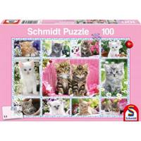 Schmidt Spiele Schmidt 56135 - Schmidt, Katzenbabys