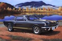 Revell 1/24 Shelby Mustang GT 350 H