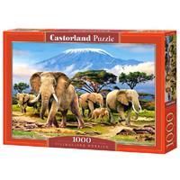 castorland Kilimanjaro Morning - Puzzle - 1000 Teile