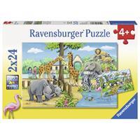 Ravensburger Verlag Ravensburger 078066 - Willkommen im Zoo, 2x24 Teile, Kinderpuzzle