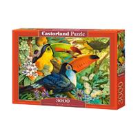 castorland Interlude - Puzzle - - 3000 Teile