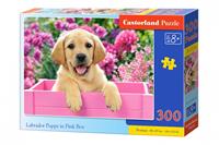 castorland Labrador Puppy in Pink Box - Puzzle - 300 Teile